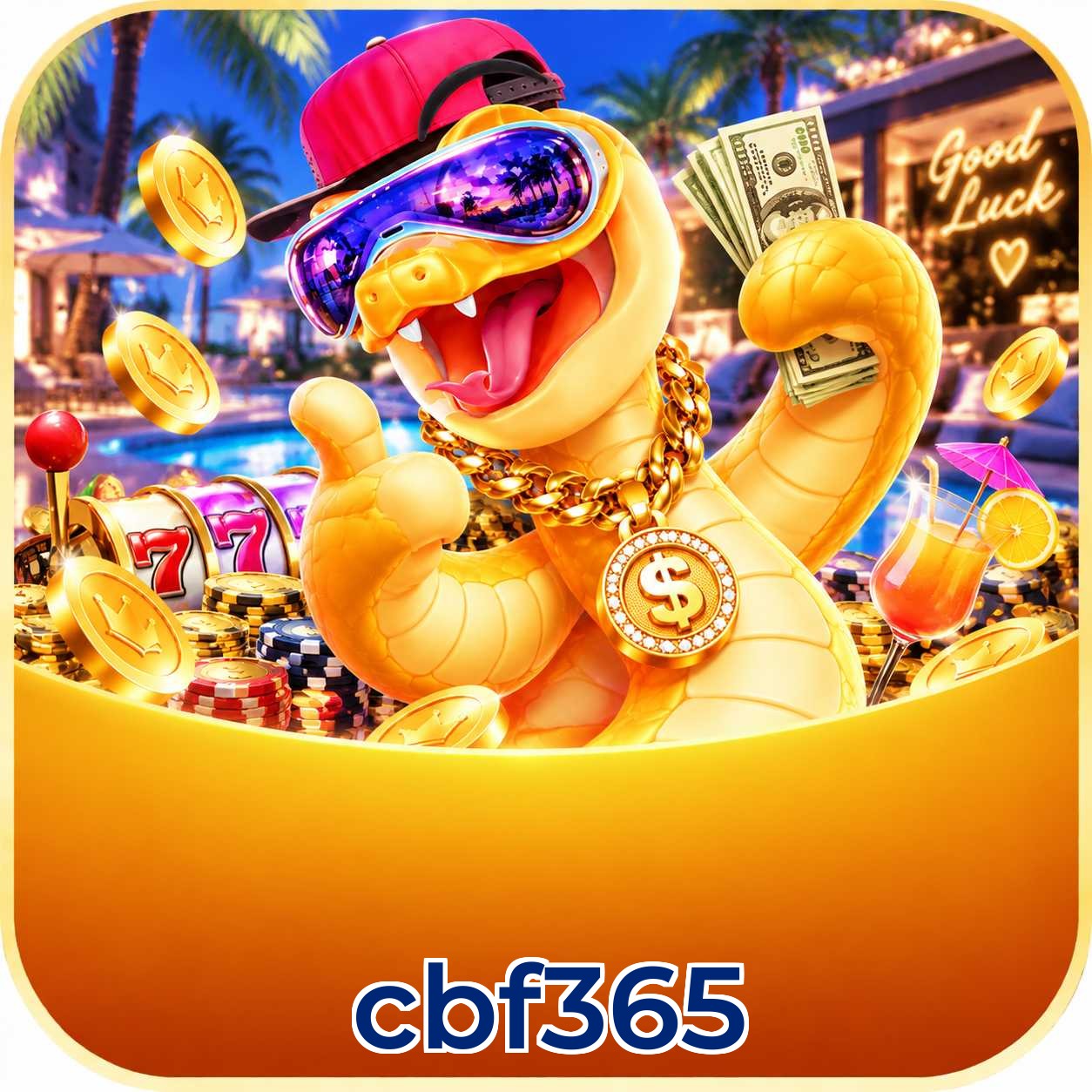 cbf365 Facebook - Página oficial com promoções e comunidade ativa