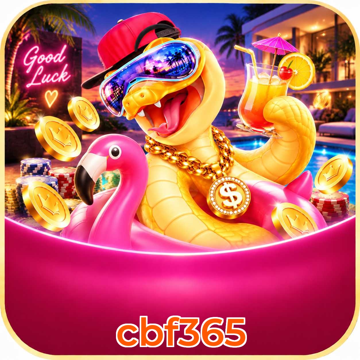 cbf365