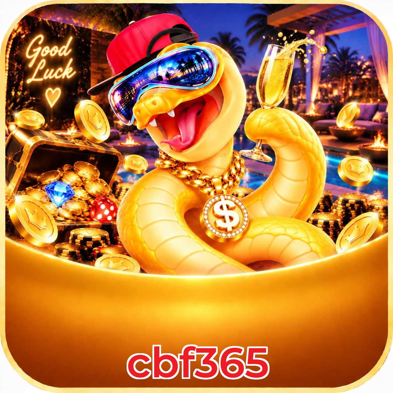 cbf365