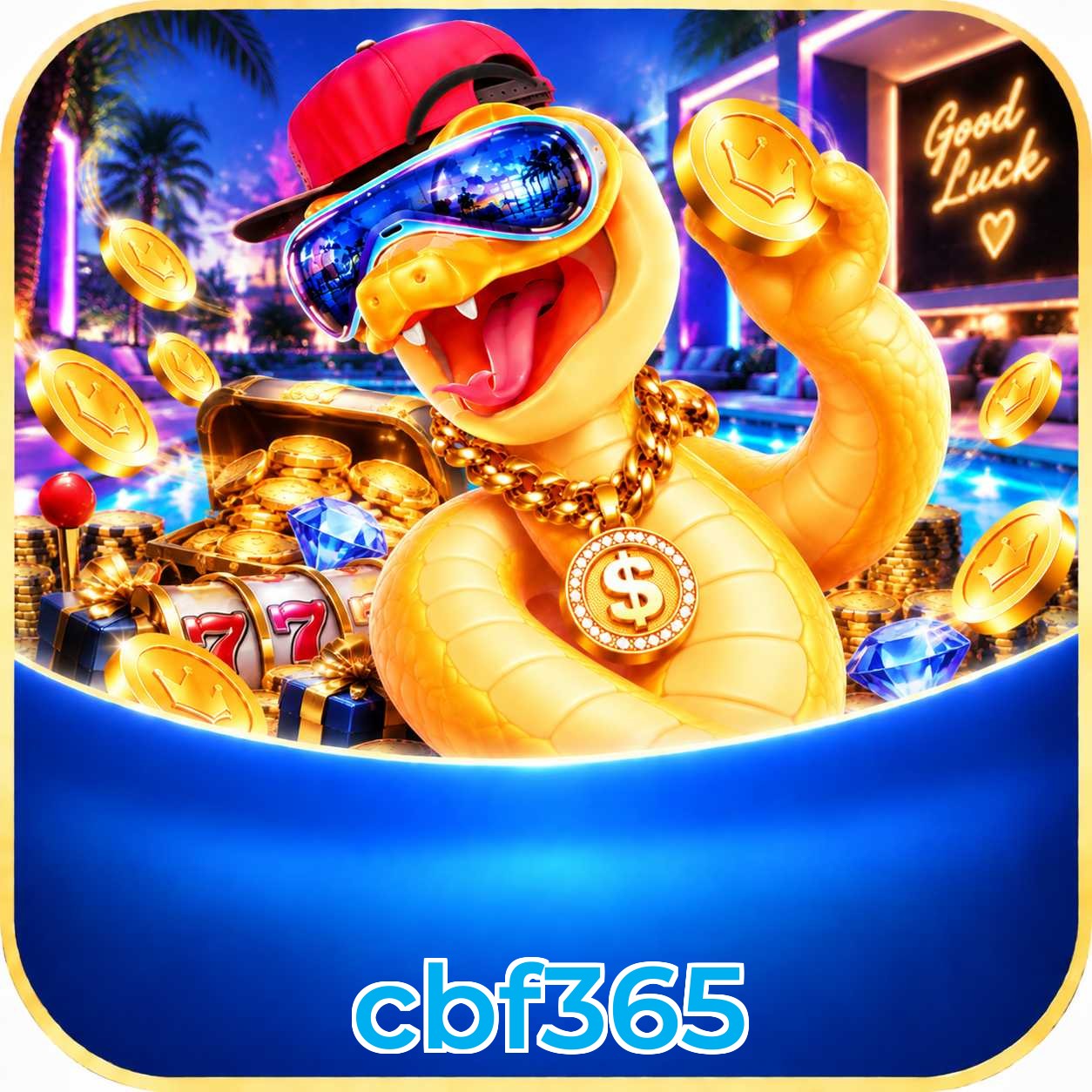 cbf365